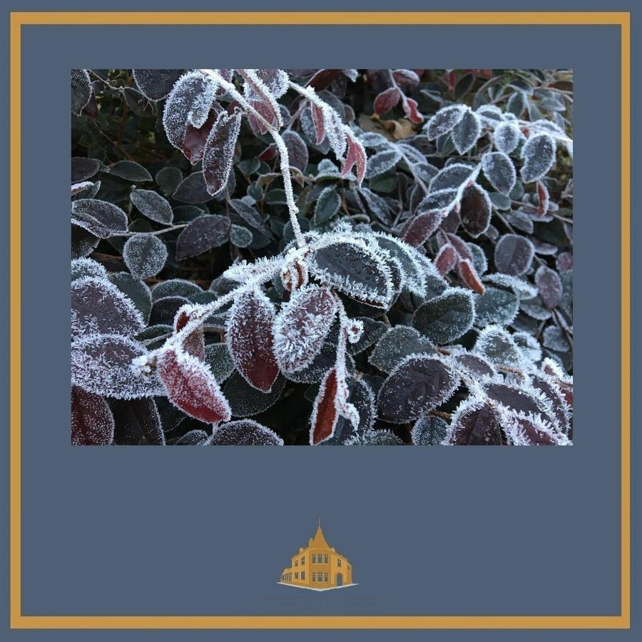 Little Redlands B&B Линкольн Экстерьер фото
