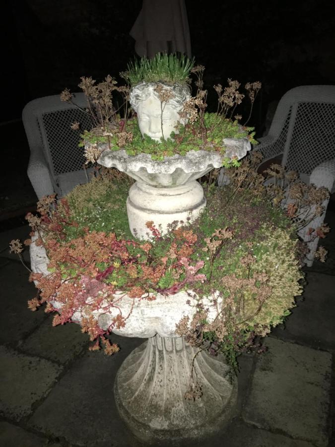 Little Redlands B&B Линкольн Экстерьер фото